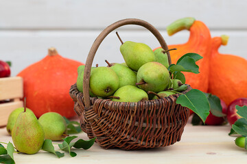 Autumn still life with pears in a basket against a background of bright pumpkins on a light wooden background, harvesting.