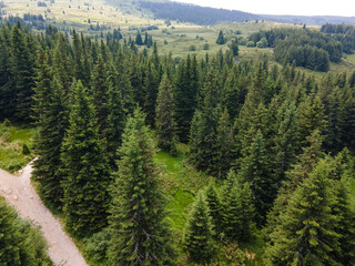 Aerial view of Konyarnika area at Vitosha Mountain, Bulgaria