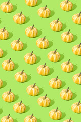 Halloween background. Pumpkins arranged in a pattern on a green bacground. Autumn october concept.