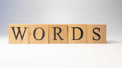 The word WORDS was created from wooden cubes. education concept.