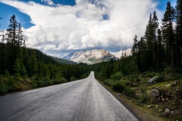 beautiful road to the mountains. mountains after rain. highway near Jasper provincial park, Alberta, Canada