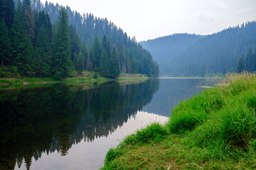 The forest reflected in the Lochsa River near Syringa, Idaho, USA