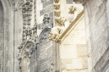 Gargoyle on the roof of St. Stephen's Cathedral in Vienna