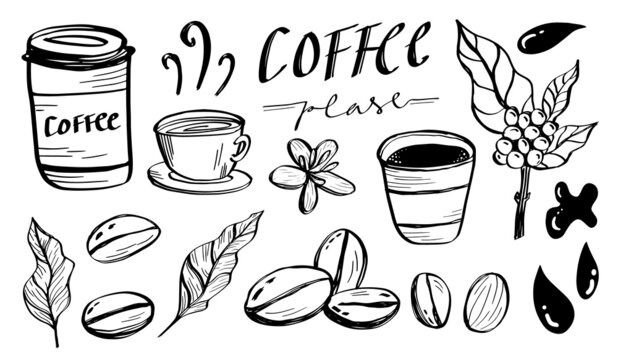 Coffee Digital Sketch