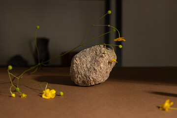 Minimalist beige brown still life composition with natural material: stone and yellow flower, abstract modern art design concept