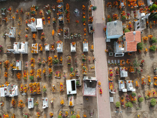 Mexican cemetery decorated with marigold flowers during the day of the dead holiday.
