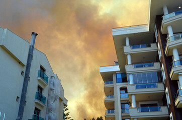Wildfire in the forest near a resort town.Marmaris, Turkey.Summer 2021