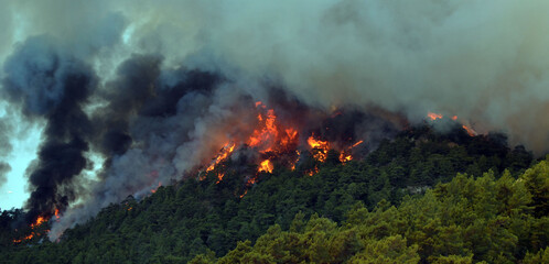 Wildfire in the forest near a resort town.Marmaris, Turkey.Summer 2021