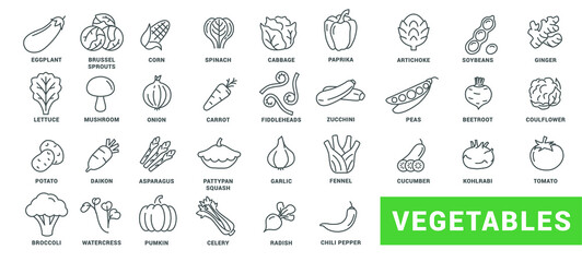 Vegetable icon set. Minimal thin line style. Outline icons collection vegetables zucchini, tomato, radish, mushroom, ginger, fennel, corn, celery. Vector illustration Design on white background EPS 10