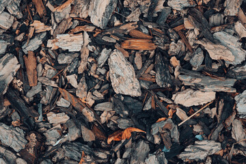 Decorative wood chips texture . close up