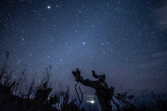 三宅島で見る星空と御蔵島