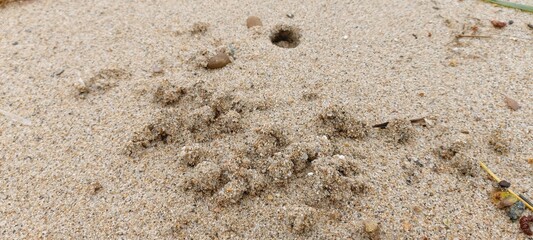Fototapeta na wymiar 모래