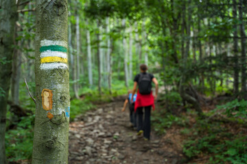 Obraz premium Green & yellow marking of the hiking trail, painted on a tree. Marking will lead us to our destination without wandering along the way. Wandering tourists in the background.