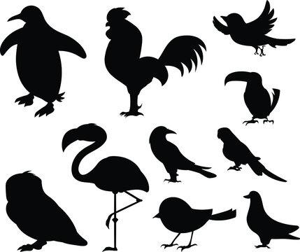 Birds from Different parts of World. Common Birds. Penguin Chicken Sparrow Dodo Bird Pigeon Duck Swan Owl Crow. Black Bird Silhouette Against White Background No Sky. Free Vector