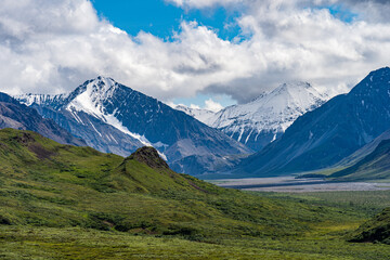 Obraz premium Mountain in Denali National Park, Alaska