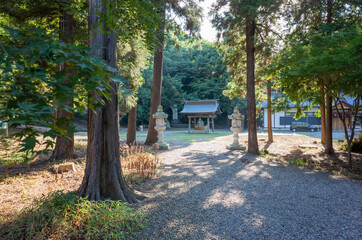 sarashina shrine srrounded by tall trees in nagano prefecture, japan