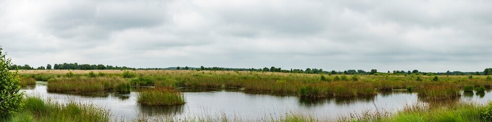 Hochmoor - Ewiges Meer