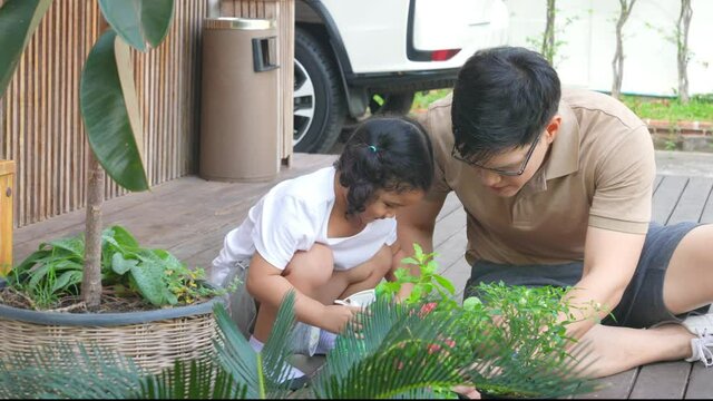 Happy Asian family relaxing at home. Smiling father caring and growing plants with little daughter at home front yard in the morning. Dad with cute child girl kid having fun weekend activity together.
