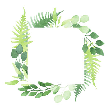 square watercolor frame made of simple abstract fern and eucalyptus leaves. green forest herbs and leaves isolated on white background.