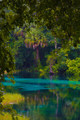 Rainy day at Rainbow Springs State Park in Florida
