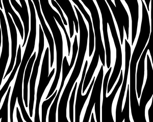 zebra skin texture.Vector eps10