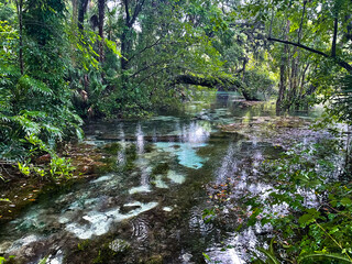 Rainy day at Rainbow Springs State Park in Florida