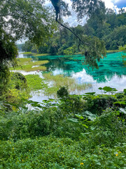 Fototapeta premium Rainy day at Rainbow Springs State Park in Florida