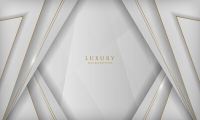 Elegant abstract white background. Luxury concept with golden lines.