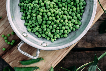 Fresh green peas in a plate. Peas in a pod. Country style