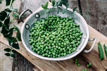 Fresh green peas in a plate. Peas in a pod. Country style