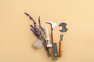 Beekeeping supplies on color background