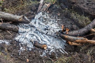 In the place for the fire, the remains of firewood are burning down. Natural background of burnt branches, ash and coal.