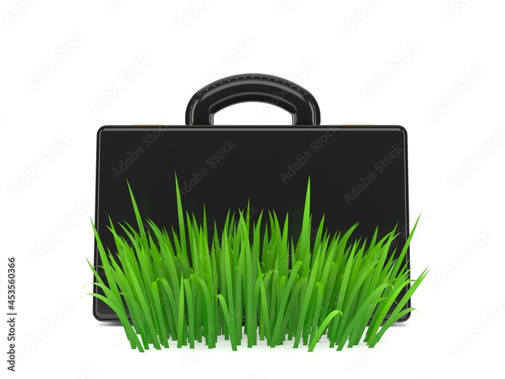 Poster briefcase on grass