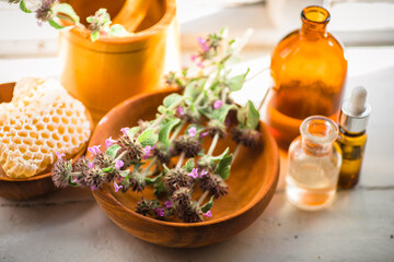 Apothecary bottles near raw materials from fresh flowering Clinopodium vulgare, Wild basil, rhizomatous perennial herb collected in ecologically clean region of Ukraine. Cosmetics from medicinal herbs