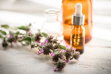 Flowers Wild basil , Clinopodium vulgare or Satureja vulgaris close-up near cosmetic bottles with a pipette and oils made from medicinal herbs.