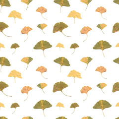 seamless pattern of gingko isolated photo. Branch, foliage, leaves, high quality. Wallpaper autumn and summer colourful illustration.Trendy poster - 453565168