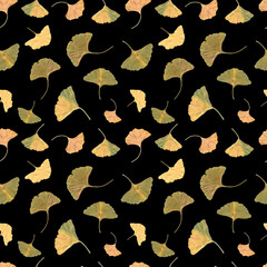 seamless pattern of gingko isolated photo. Branch, foliage, leaves, high quality. Wallpaper autumn and summer colourful illustration.Trendy poster - 453565197