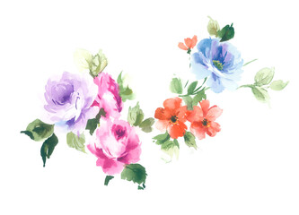 Flowers watercolor illustration.Manual composition.Big Set watercolor elements，Design for textile, wallpapers，Element for design,Greeting card