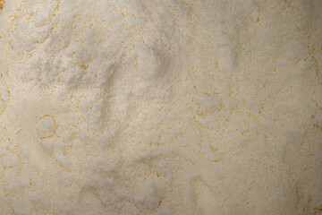 Whole milk powder texture
