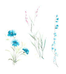 Flowers watercolor illustration.Manual composition.Big Set watercolor elements，Design for textile, wallpapers，Element for design,Greeting card