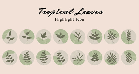 Set of tropical leaf botanical icon social media highlight story template banner with green abstract wave background.