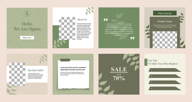 Minimal modern fashion and beauty social media post banner collection kit in green color. Including sale, photo isolated product display, tips template layout design with botanical leaf elements.