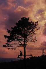 Obraz na płótnie Canvas silhouette of a person with a tree