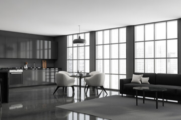 Panoramic living space of grey studio kitchen. Corner view.