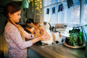 Cute caucasian child girl washes and bathes a puppy in the sink in the kitchen at home, kid takes...