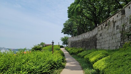 person walking on the path