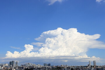 Cumulonimbus clouds developing in urban areas