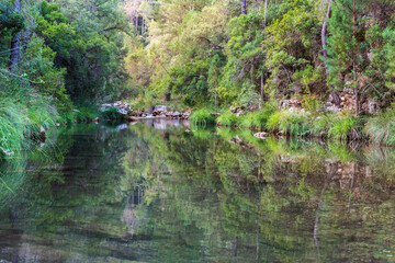 Naklejka na ściany i meble Borosa river between vegetation reflected in its waters, Sierra de Cazorla.