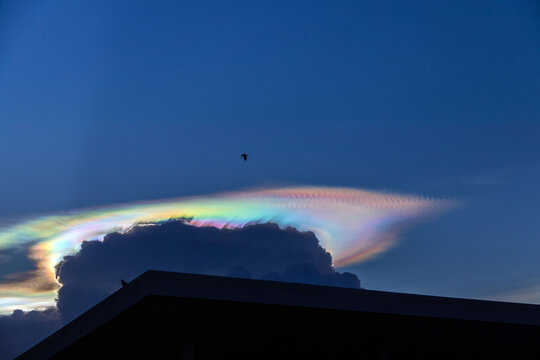 Beautiful iridescent cloud, Irisation. Skyscraper background.
