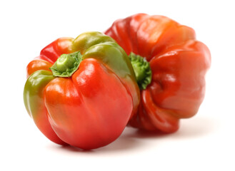 fresh red pepper on a white background